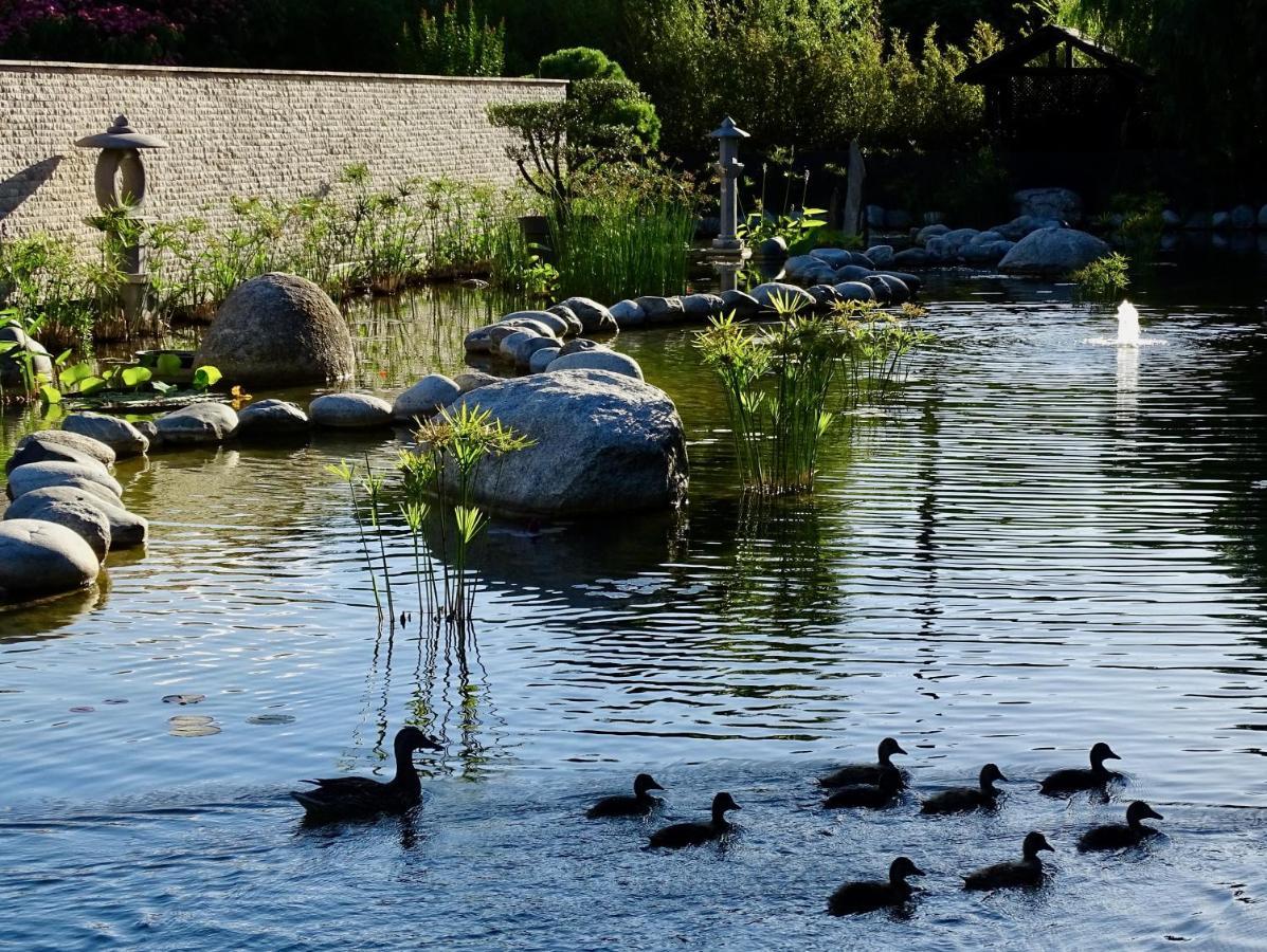 Maison Du Lac Les Angles  ภายนอก รูปภาพ